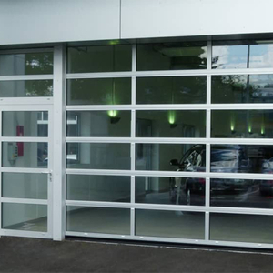 Residential with Passing Door Anodized Aluminum Glass Garage Door